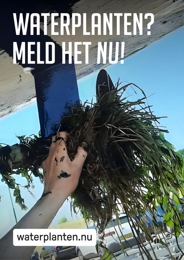 Flyer · Beeld 4