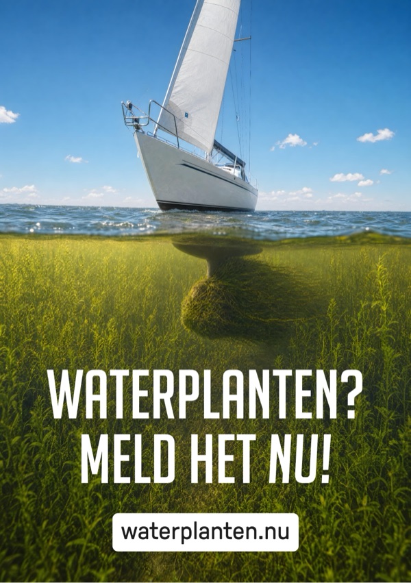 Flyer · Beeld 5