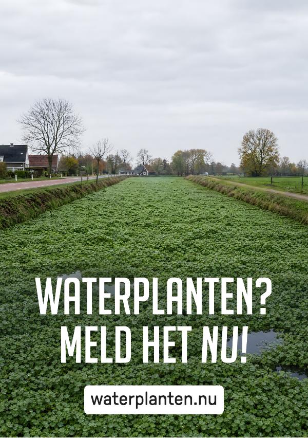 Flyer · Beeld 6