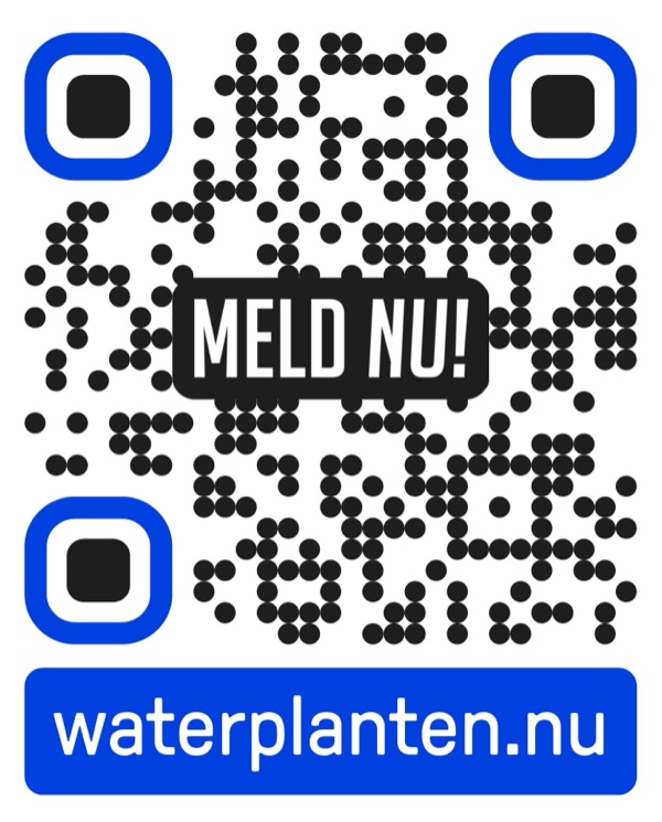 Sticker · QR